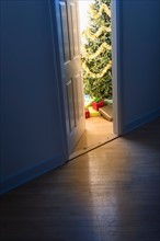 Christmas tree in doorway.