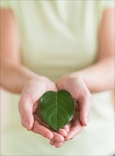 Hands holding green leaf.