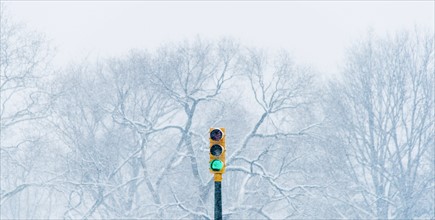 Green stoplight with winter trees in background. USA, New York State, New York.