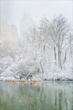 Central Park, The Pond in winter. USA, New York State, New York.