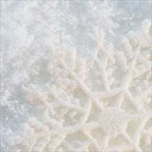 Close-up view of snowflake