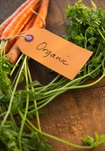 Studio Shot of organic carrots