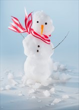 Studio Shot of miniature snowman