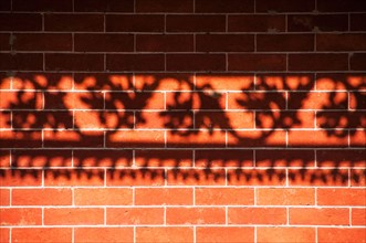 Shadow of railing on brick wall