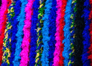 Feather boas hanging in a row