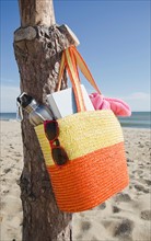 Bag hanging on tree trunk at sandy beach