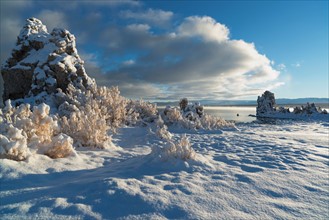 Mono Lake, idyllic scene