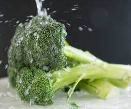 Close up of broccoli under water splash, studio shot