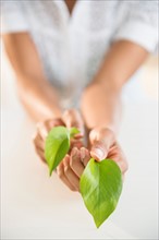 Woman's hands holding green leaves