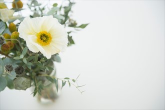 Studio Shot of bouquet on white background