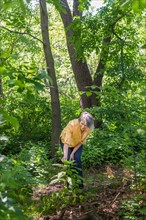 Central Park, New York City. Senior woman hiking in forest.
