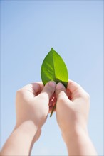 Girl (8-9) holding green leaf against blue sky