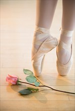 Low section of ballet dancer (16-17) tiptoing next to rose