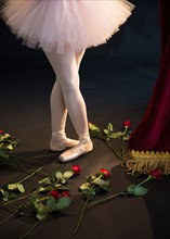 Teenage (16-17) ballerina on stage, roses by her feet