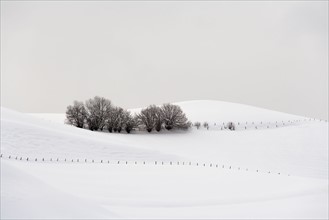 Tranquil winter scene