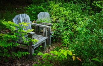 Wooden chairs in greenery.