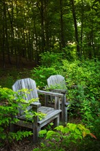 Wooden chairs in greenery.