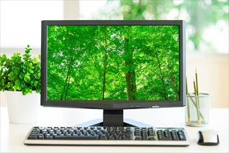 Computer screen showing greenery.