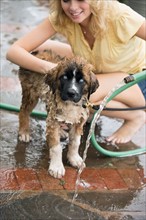 Portrait of young woman washing her dog