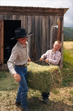 Boys collecting hay