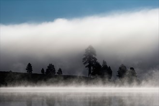 Lake in National Forrest