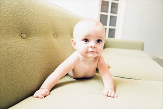 Baby boy (6-11 months) crawling on sofa