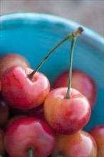 Detail of sour cherries in bowl