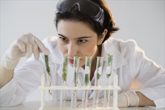 Scientist examining seedlings in test tubes.
Photo : Jamie Grill