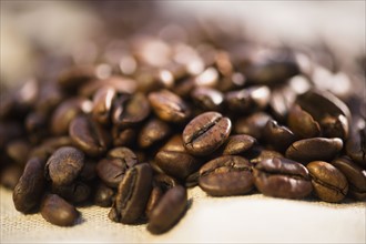 Studio Shot of roasted coffee beans.
Photo : Jamie Grill