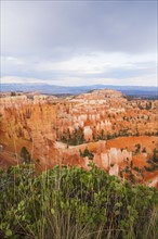 Elevated view of canyon. USA, Utah, Bryce Canyon.
Photo : Daniel Grill