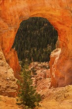 View of natural arch. USA, Utah, Bryce Canyon.
Photo : Daniel Grill