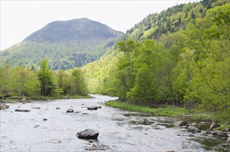 River in mountains. USA, New York State, Wilmington.
Photo : Chris Hackett