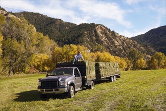 Rancher with bales of hay on his truck. USA, Western Colorado.
Photo : Kelly