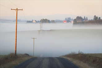 Fog over road. USA, Oregon, Marion County.
Photo : Gary Weathers