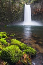 View to Abiqua falls. USA, Oregon, Marion County.
Photo : Gary Weathers