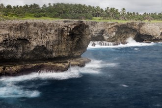 Cliffs on coast. Tonga, Tongatapu Island.
Photo : Henryk Sadura