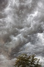 Grey storm clouds. USA, Illinois.
Photo : Henryk Sadura