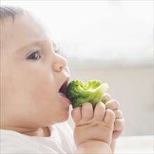 Baby girl (12-17 months) eating broccoli.