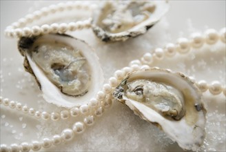 Studio shot of oysters and jewelry.
Photo : Jamie Grill
