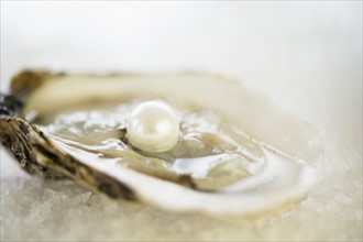 Studio shot of oysters and pearl.
Photo : Jamie Grill