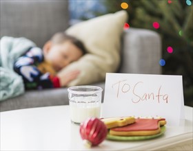 Gingerbread and glass of milk for Santa on foreground.
Photo : Daniel Grill