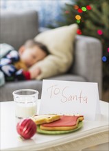 Gingerbread and glass of milk for Santa on foreground.
Photo : Daniel Grill