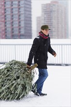 Man carrying Christmas tree.
Photo : Daniel Grill