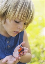 Boy (4-5) watching butterfly.
Photo : Daniel Grill