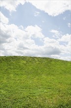 Horizon over green grass. Mountainville, New York State, USA.
Photo : Tetra Images