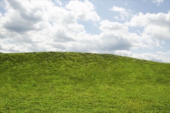 Horizon over green grass. Mountainville, New York State, USA.
Photo : Tetra Images