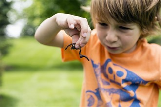 Boy (4-5) looking at worm in summer landscape.
Photo : Maisie Paterson