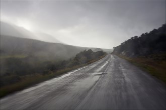 Wet, foggy, mountain road. Colorado, USA.
Photo : Kelly