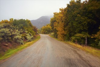 Empty, wet, country road. Colorado, USA.
Photo : Kelly