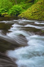 Long exposure of Tanner Creek. Tanner Creek, Oregon, USA.
Photo : Gary Weathers